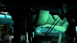 Hentai 3D Icarus - flight of fancy or something more?