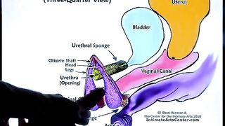 Squirting tutorial 2 by Mr PussyLicking, the king of cunnilingus!