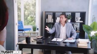 The company owner fucks anal-loving Willow in hardcore action