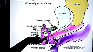How to Squirt?! Explained Fast! By Mr. PussyLicking, the ultimate expert in female pleasure and cunilingus heaven, who’s dedicated his life to fulfilling the most intense orgasms with his signature technique of explosive dripping
