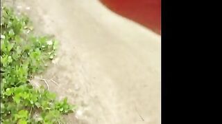 I picked up a girl in the park and fucked her hard