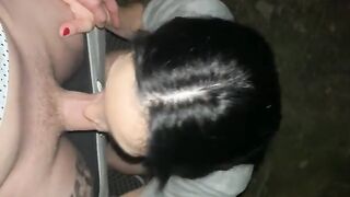 A quickie blowjob in an abandoned park house, caught up in the thrill of the moment