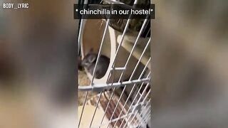 Sex in a capsule hostel and a big city journey