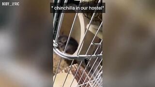 Sex in a capsule hostel and a big city journey
