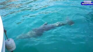 A hot girl is fucking with a guy on the boat on a tropical island