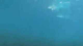 Aqualangists have amazing sex at the bottom of the ocean