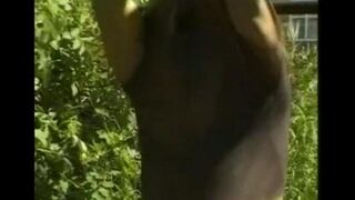 A guy caresses his huge cock in the hayloft, mimicking a public act