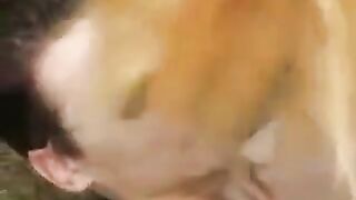 Cute young girl was fucking in the park with her boyfriend