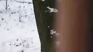 A brave guy tried to freeze time with a girl, but things got heated