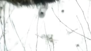 A girl made a blowjob in the winter right on the street for money