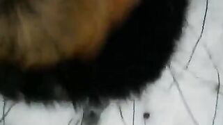 A girl made a blowjob in the winter right on the street for money