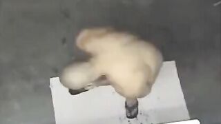 A naked man has been spied on in the shower by a camera