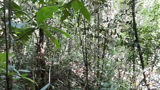 A breath of fresh air and her warm lips on my dick in POV style