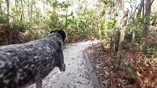 A short time ago, in the Florida jungle, a hot guy and his girl were having fun