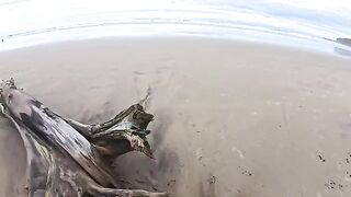The girl made a blowjob for her guy on the beach in hardcore action